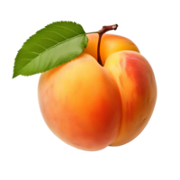 AI generated apricot png. apricot fruit with leaves png. organic fruit of apricot isolated. apricot flat lay png. apricot top view png