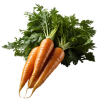 ai generato carote png. carota superiore Visualizza png. carota piatto posizione. biologico verdura di carota isolato png