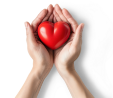 AI generated Two Hands Holding a Heart Clipart Isolated on transparent background png