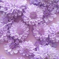 AI generated Seamless floral pattern of purple chrysanthemums on a pink background AI-generated content photo