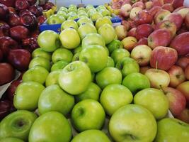 Apples - fruit photo