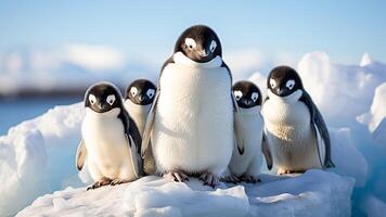 ai generado Correa de la barbilla pingüinos reunión en un majestuoso iceberg. antártico aventura, frío desierto. foto