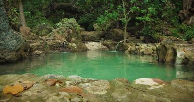 appartato giungla primavera acqua nel piscina. un' nascosto oasi con chiaro acque. templing spiaggia e foresta nel Bali, nusa Penida, Indonesia. video