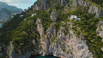 weelderig groen siert robuust kliffen Aan capri eiland, Italië. groen vegetatie Aan steil rotsen, met uitzicht de rustig marinier uitgestrektheid, stippel met jachten en schepen. video