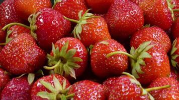 Slow motion rotation of juicy red ripe organic strawberries. Strawberry background. Top view, Rotation video