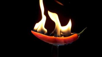 caliente rojo chile pimienta en un cuchillo en llamas en un negro antecedentes. picante comida concepto. lento movimiento video