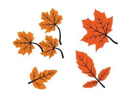 otoño hojas conjunto, vector plano