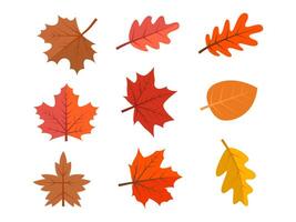 Vector Flat autumn leaves collection