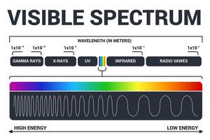 Visible light diagram. Color electromagnetic spectrum, light wave frequency. Educational school physics vector background. Illustration of spectrum diagram rainbow, infrared and electromagnetic