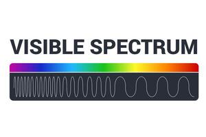 Visible light diagram. Color electromagnetic spectrum, light wave frequency. Educational school physics vector background. Illustration of spectrum diagram rainbow, infrared and electromagnetic