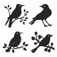 conjunto de un rebaño de volador diferente aves siluetas colección de diferente dibujos animados negro aves en blanco antecedentes. vector ilustración.