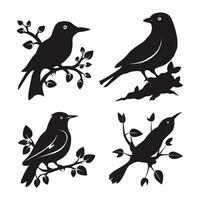 conjunto de un rebaño de volador diferente aves siluetas colección de diferente dibujos animados negro aves en blanco antecedentes. vector ilustración.