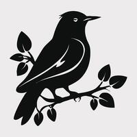 conjunto de un rebaño de volador diferente aves siluetas colección de diferente dibujos animados negro aves en blanco antecedentes. vector ilustración.