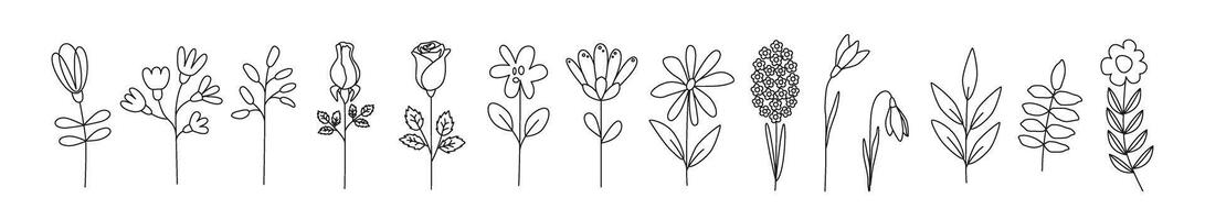 Hand-drawn linear flowers. Spring and summer bloom. Simple drawings. Doodles and icons. Coloring book. vector