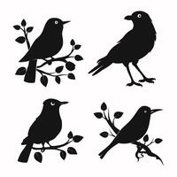 Set of a flock of flying different birds silhouettes Collection of different cartoon black birds on white background. Vector illustration.