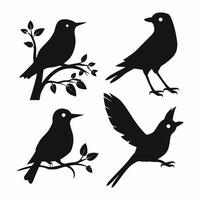 conjunto de un rebaño de volador diferente aves siluetas colección de diferente dibujos animados negro aves en blanco antecedentes. vector ilustración.