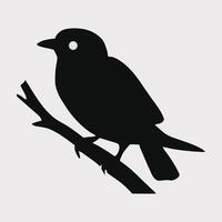 conjunto de un rebaño de volador diferente aves siluetas colección de diferente dibujos animados negro aves en blanco antecedentes. vector ilustración. gratis