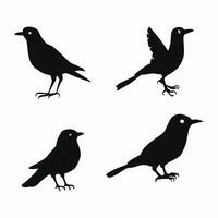 Set of a flock of flying different birds silhouettes Collection of different cartoon black birds on white background. Vector illustration.