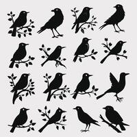 Set of a flock of flying different birds silhouettes Collection of different cartoon black birds on white background. Vector illustration.