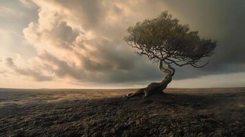 AI generated Resilient Tree Stands Firm Amidst Desolate Landscape Bathed in Soft Golden Glow photo