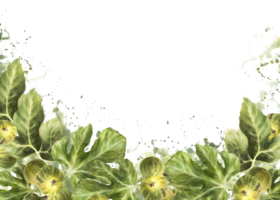 gren av saftig, mogen lila fikon med löv och hela frukt mat, växt baner, ram, mall för sylt märka, kort, pris märka skriva ut hand dragen vattenfärg illustration png
