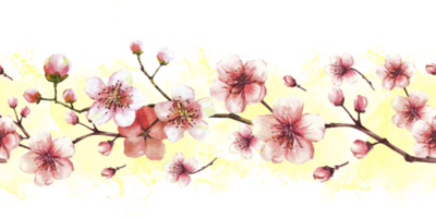 Blossoming branch from tree, sakura, cherry or apple buds flowers seamless border, pattern on yellow watercolor stains background. Spring blossoms, springtime clipart. Hand drawn isolated illustration png