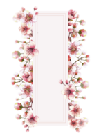 A blossoming branch from spring tree, sakura, Japanese cherry buds and flowers Springtime watercolor template with space for text for your card banner Hand drawn isolated illustration png