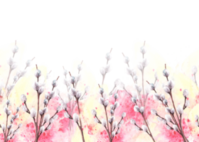 Aquarell Frühling Muschi Weide Baum auf Hintergrund von Aquarell Gelb, Rosa beflecken spritzt nahtlos Banner, Rand Frühling Geäst, Ostern, Palme Sonntag Karte Vorlage. Hand gezeichnet Illustration png