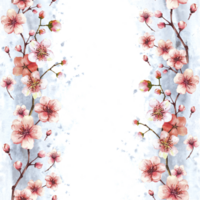 blühen Ast von Baum, Frühling Sakura, Kirsche oder Apfel Knospen und Blumen nahtlos Vertikale Grenze, Rahmen auf Aquarell grau Flecken Hintergrund. Frühling Clip Art Hand gezeichnet isoliert Illustration png