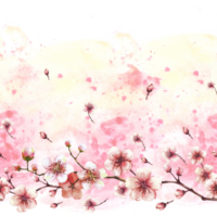 fioritura ramo a partire dal primavera sakura senza soluzione di continuità confine, bandiera illustrazione mano disegnato fiori frutta albero ciliegia o Mela mini cuffie fiori su acquerello spruzzi primavera sfondo isolato illustrazione png