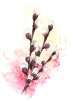 primavera illustrazione di sfocato salice albero su acquerello giallo, rosa, rosa macchiato spruzzi sfondo. primavera pianta rami. per Pasqua, palma Domenica carta. mano disegnato acquerello clipart png