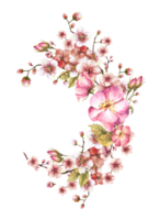 Watercolor blossoming spring sakura or cherry tree branch wreath with rosehip, dog or brier rose buds and flowers. Springtime hand drawn clipart for label, card. Isolated illustration png