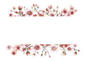 A blossoming branch from spring tree Hand drawn watercolor sakura, Japanese cherry or apple buds and flowers illustration. Springtime clipart Template for banner, card, label print png