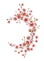 un' fioritura ramo a partire dal primavera albero ovale ghirlanda, modello sakura, ciliegia, Mela o albicocca mini cuffie e fiori fiori primavera acquerello etichetta carta mano disegnato illustrazione sfondo png