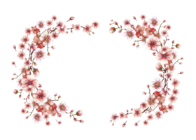 un cierne rama desde primavera árbol oval guirnalda, modelo sakura, cereza, manzana o albaricoque brotes y flores flores primavera acuarela etiqueta tarjeta mano dibujado ilustración antecedentes png