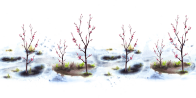 Primary plants, blossoming spring trees of cherry, sakura, apricot, peach flowers on background of melting snow seamless border, pattern illustration. Hand drawn watercolor landscape isolated clipart png