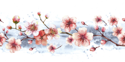 Blossoming branch from tree, sakura, cherry, apple buds and flowers seamless border, pattern on grey watercolor stains background. Spring blossoms, springtime clipart. Hand drawn isolated illustration png