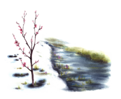 Watercolor landscape Primary plants flowers, blossoming spring trees of cherry, sakura or apricot, stream, the first grass breaking through the snow. Hand painted isolated clipart png