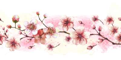 Blossoming branch from tree, sakura, cherry or apple buds and flowers seamless border, pattern on watercolor stains background. Spring blossoms, springtime clipart. Hand drawn isolated illustration png