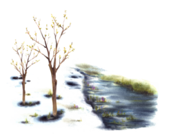 Watercolor spring landscape. Primary plants flowers, early buds and leaves on the trees, the first grass breaking through the snow, running stream. Hand painted clipart png