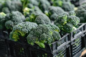 AI generated Box of broccoli, selective focus photo