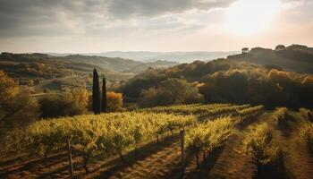 AI generated Tranquil vineyard meadow, sunset sky, autumn tree, green landscape generated by AI photo