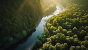 AI generated Tranquil meadow, green trees, flowing water, beauty in nature generated by AI photo