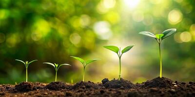 AI generated Growing Five Seedlings on Green Backdrop photo