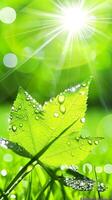 AI generated Green Leaf With Water Drops. Generative AI. photo