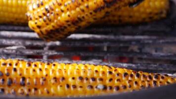 Close up of Grilled corn background video