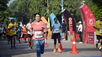 Novo Délhi, Índia - Outubro 15 2023 - vedanta Délhi metade maratona raça depois de cobiçado dentro que maratona participantes sobre para Cruz a terminar linha, Délhi metade maratona 2023 video