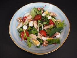 Mixed Salad with cucumber, tomato, chicken breast strip, boiled egg served in a dish isolated on dark background top view photo