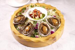 Imperial Abalone with Foie Gras in a dish isolated on grey background side view of Hong kong food photo