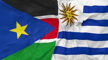 söder sudan och uruguay flaggor tillsammans sömlös looping bakgrund, looped stöta textur trasa vinka långsam rörelse, 3d tolkning video